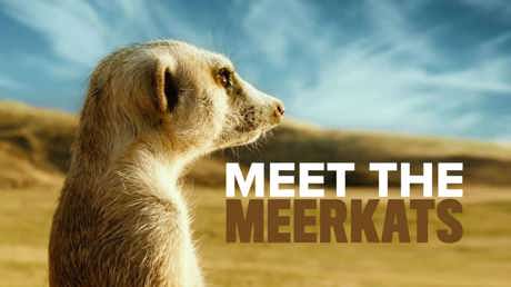 Watch from Saturday, 18 December on Discovery Channel (DStv channel 121) at 20:00