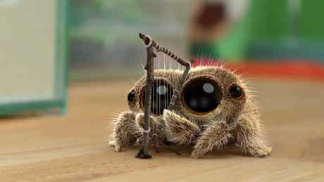 Lucas The Spider 0101 C