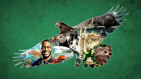 Impossible Animals With Patrick Ayree