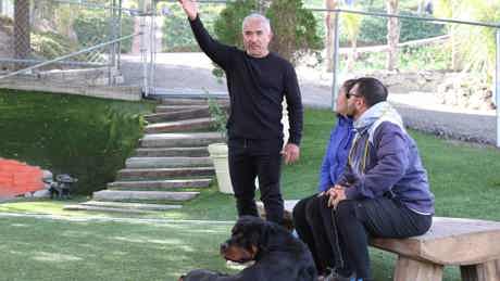 Ep108 Dogsvcats Cesarmillanbetterhumanbetterdog 20
