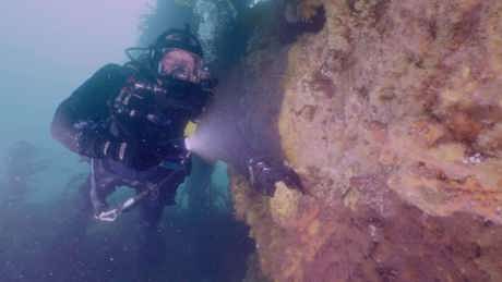 Shipwreck Treasure Hunters With Ross Kemp (15)