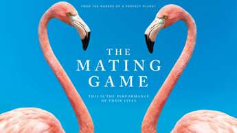 Changing the game in The Mating Game Season 1 
