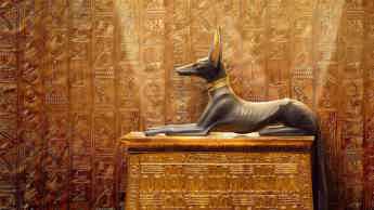 Tutankhamun’s golden 100th Anniversary on DStv 