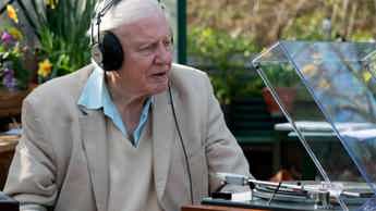 Attenborough, opals & American Idol turns 20 this March on DStv Premium 