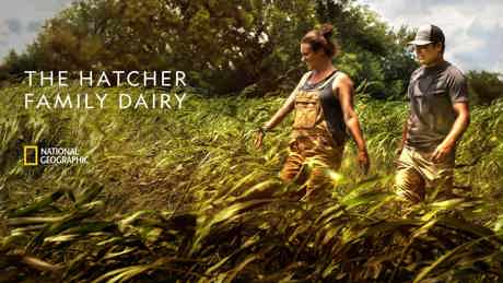 Thehatcherfamilydairy S1 Keyvisual