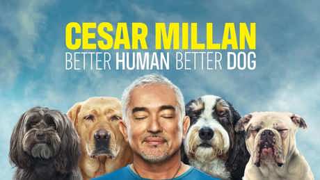 Cesar Milan Better Human