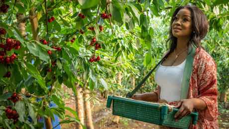 Homegrown Tastes South Africa Ep5 7490