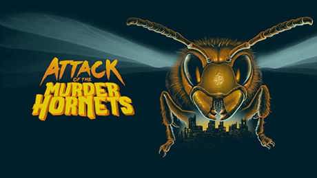 Attack Of The Murder Hornets 1
