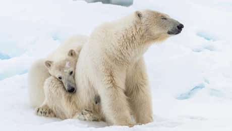 Frozen Planet II 01 003