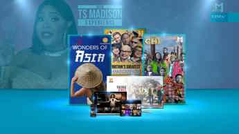 Obsessed November on DStv Compact Plus! 