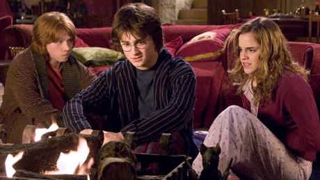 Harry Potter And The Goblet Of Fire EPG 2005