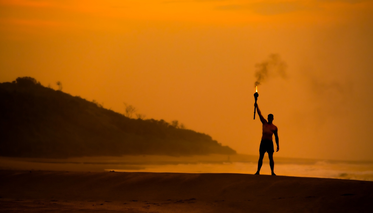 Survivor Banner