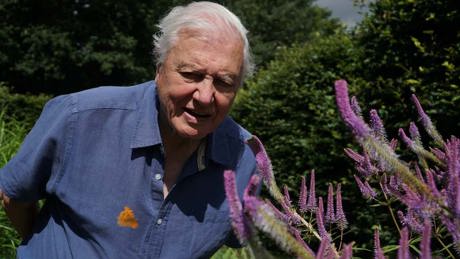 David Attenborough's Life In Colour 2022