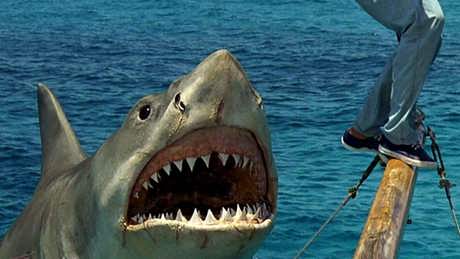 Jaws The Revenge