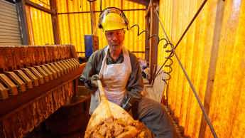 A Day in the dirt with Mike Rowe