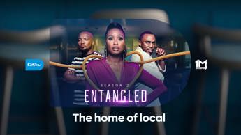 Entangled returns to 1Magic 
