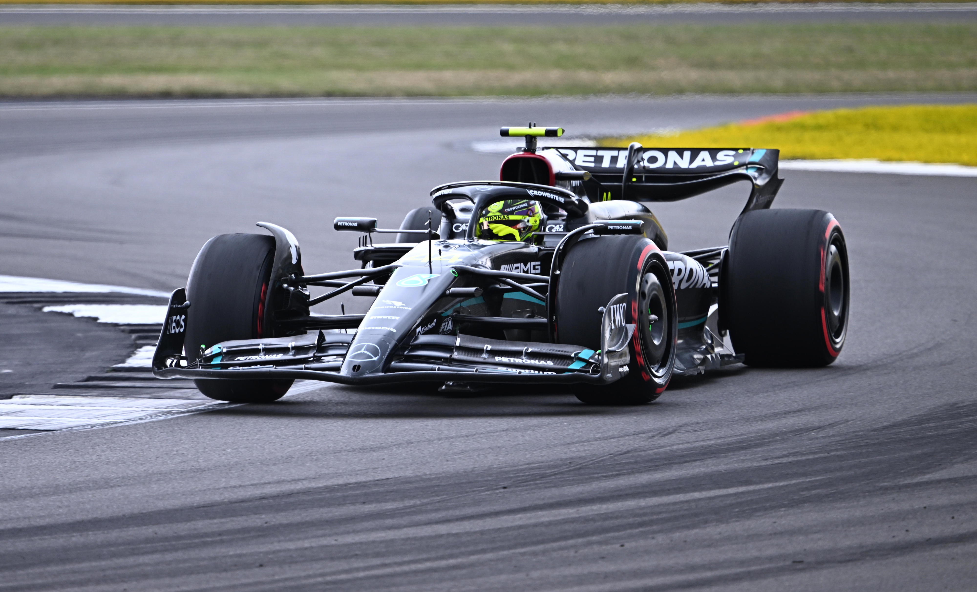 Goats British Formula One Driver Lewis Hamilton