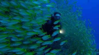 Earth Day hope in Perpetual Planet: Heroes of The Oceans 