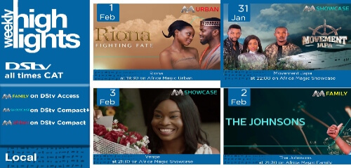 Weekly Highlights 31Jan NG