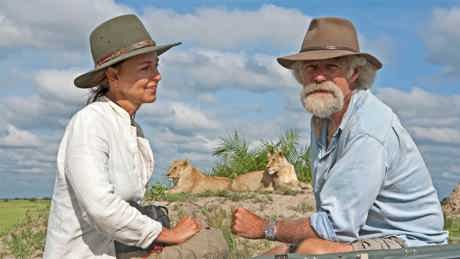 Watch Big Cat Month 2022 from Sunday, 6 February on National Geographic Wild (DStv Channel 182) on DStv 